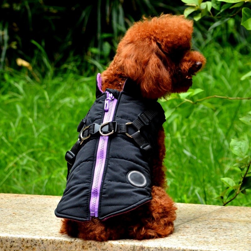 Waterproof Dog Harness Jacket - RB.