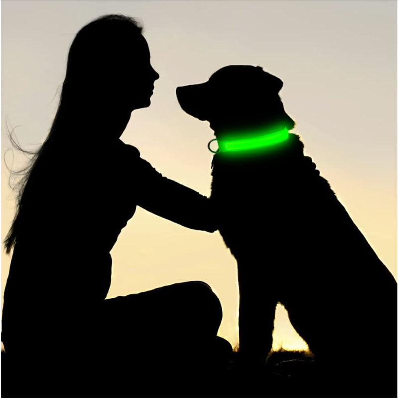 TownX ION® Led Dog Collar - RB.