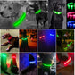 TownX ION® Led Dog Collar - RB.