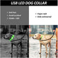 TownX ION® Led Dog Collar - RB.