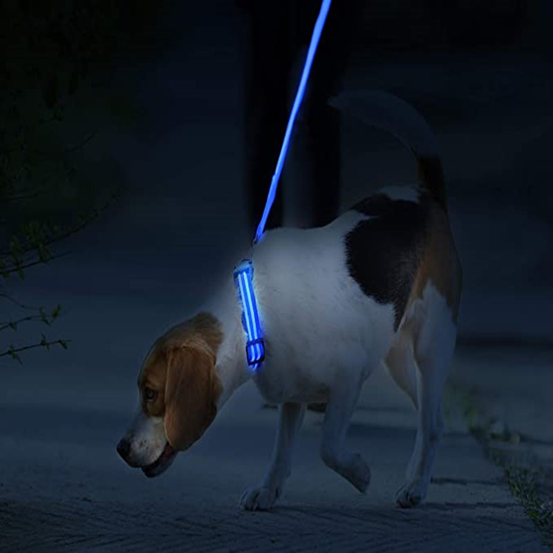 TownX ION® Led Dog Collar - RB.