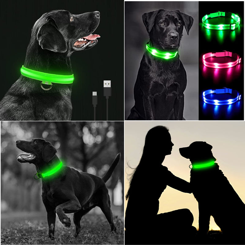 TownX ION® Led Dog Collar - RB.